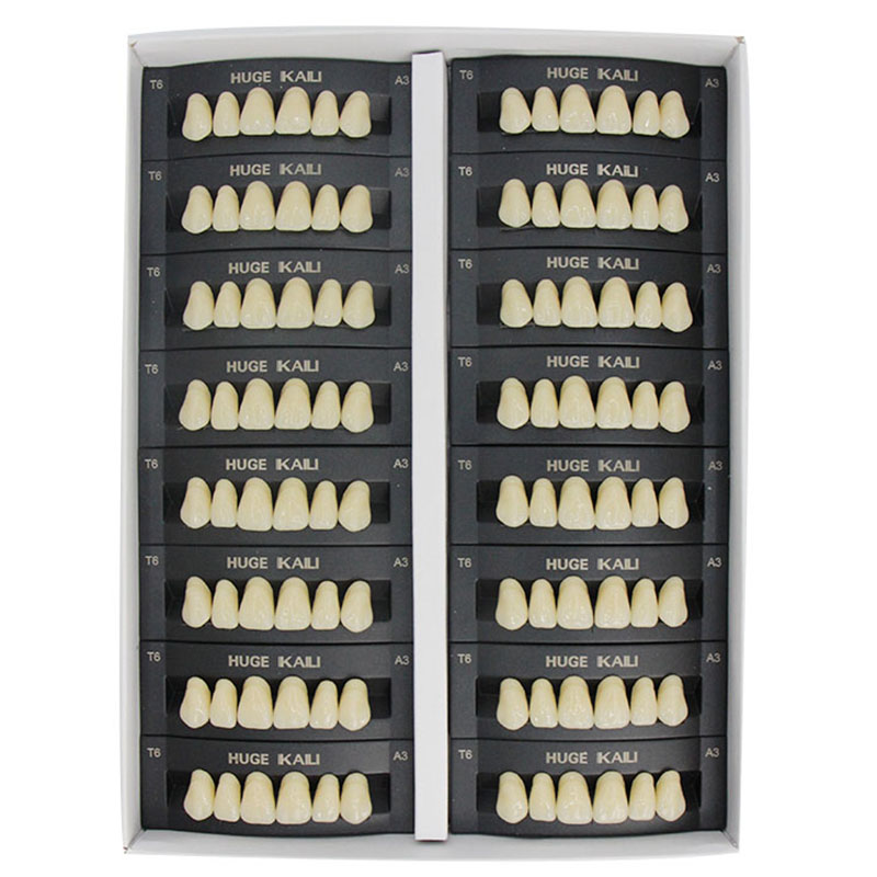 Resin Art Case - 4/12/16 مجموعات/صندوق الأسنان الراتنج الأسنان الخلفية